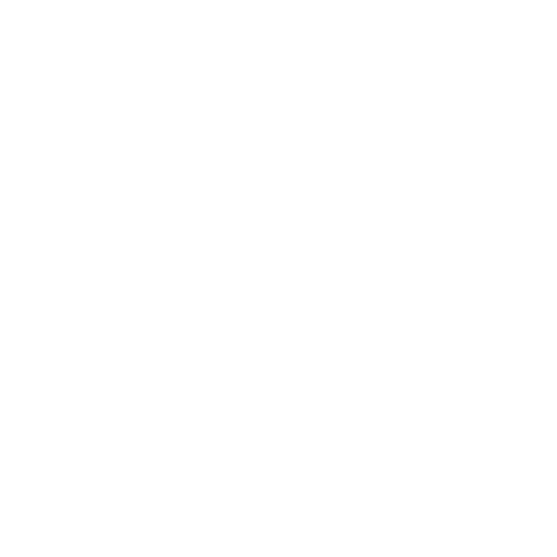 Reverse Proxy icon